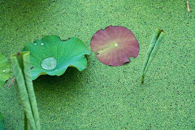 《心灵杀手2》开发者：不希望10月碰到《荒野大镖客：复刻版》